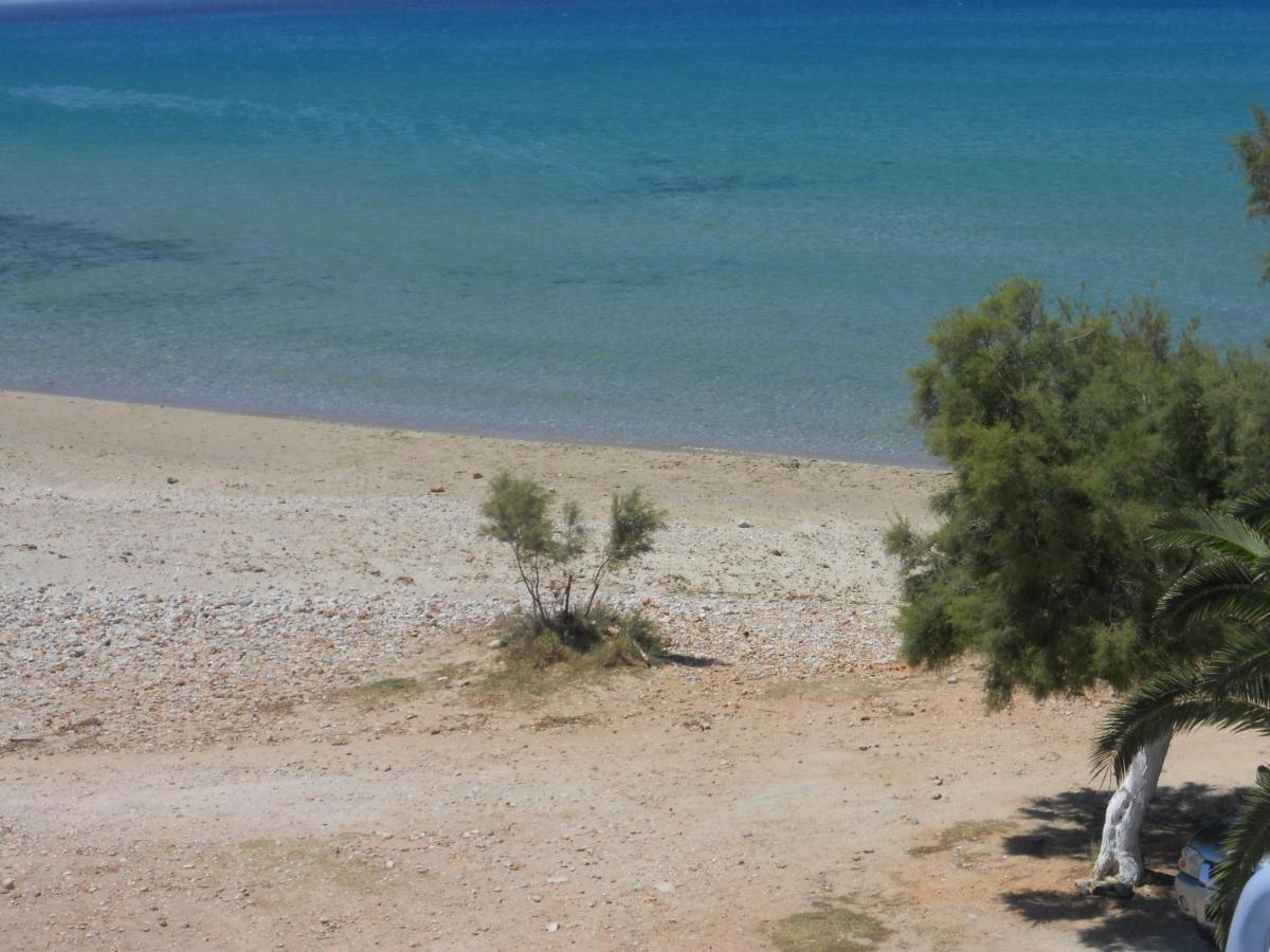 Monolocale Budget con Vista Mare