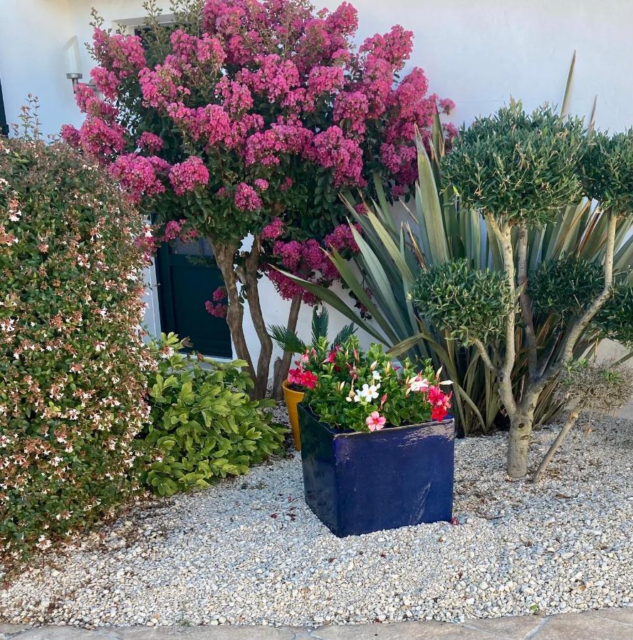 Appartement à l’étage indépendant - B&B Ars-en-Ré