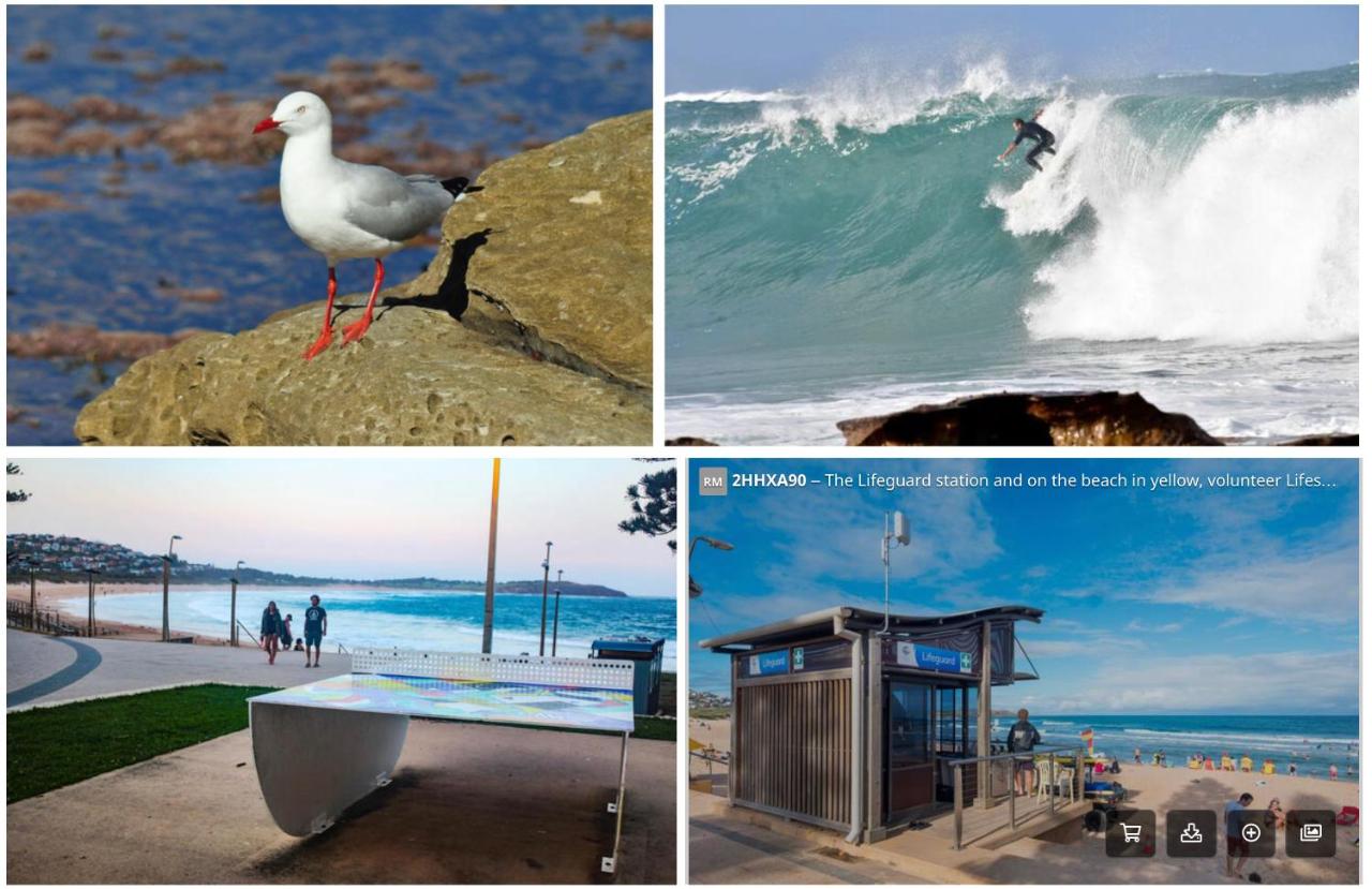 Dee Why Beach - Surfrider Studio 8 - B&B Dee Why