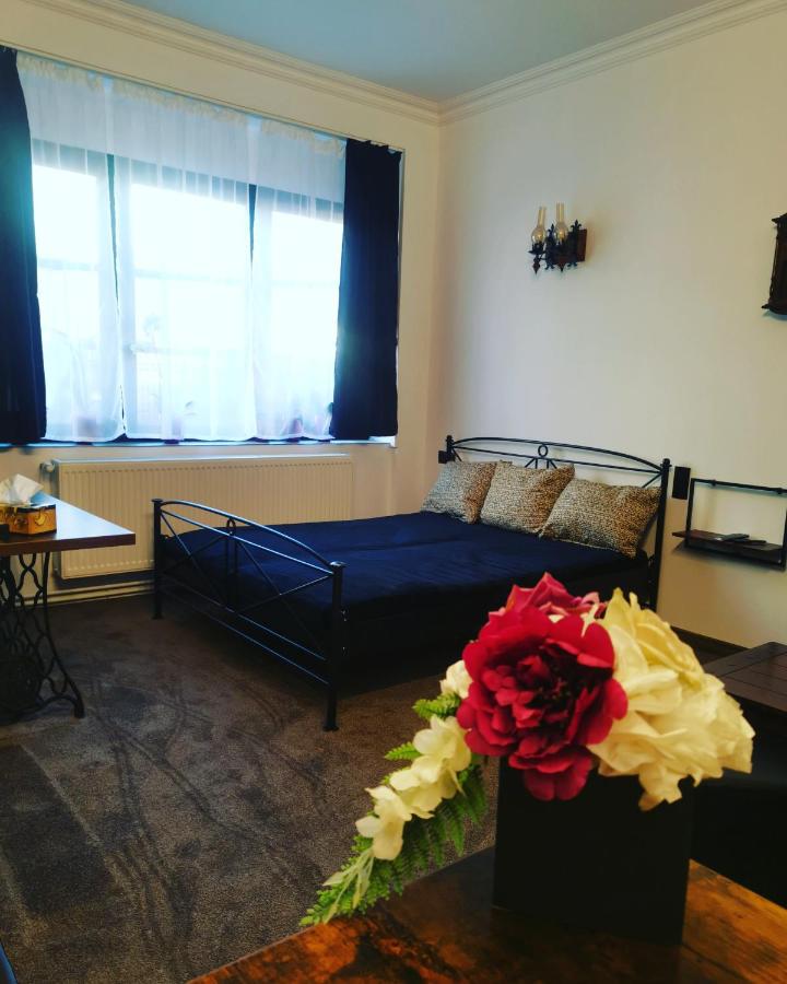 B&B Satu Mare - La teatroom - Bed and Breakfast Satu Mare