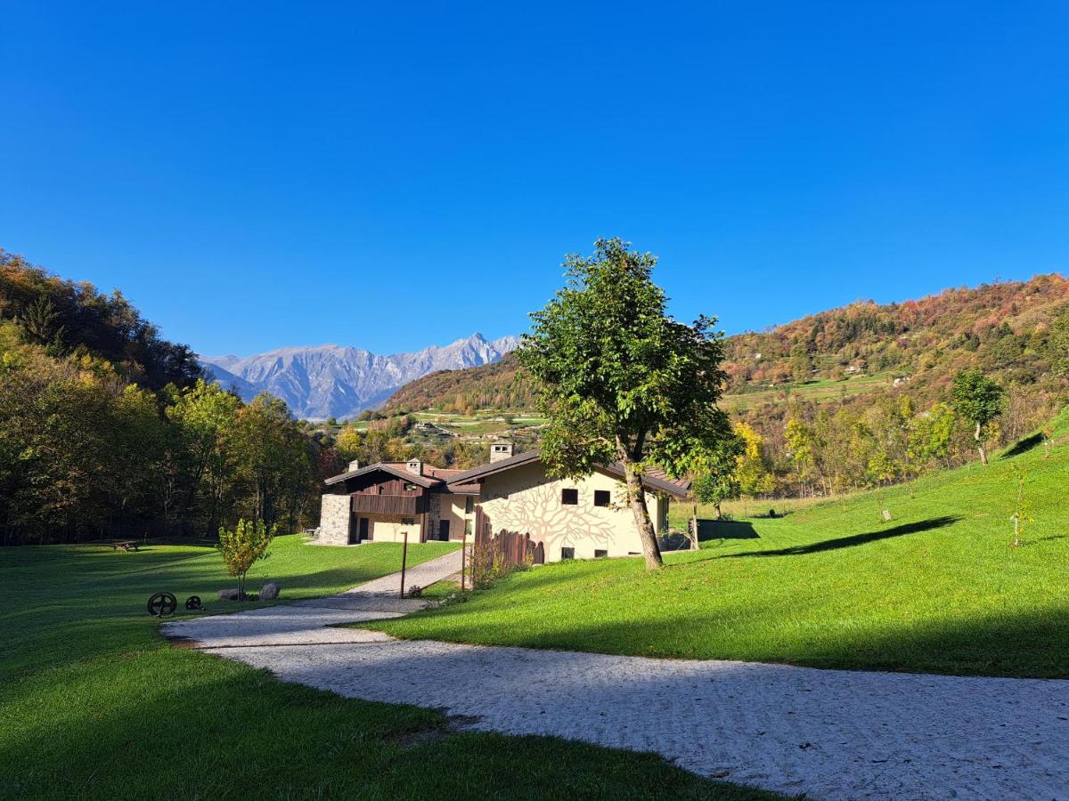 Quader nidi nel verde - B&B