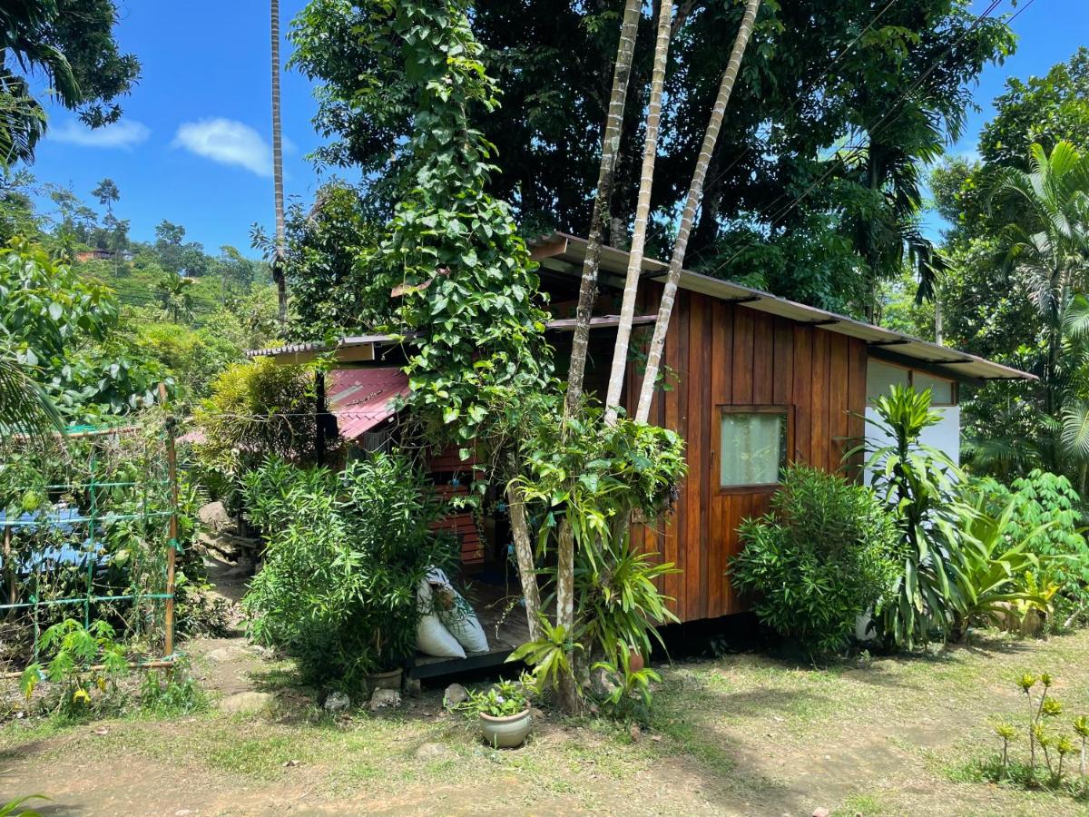 Happy Hippy House7 - B&B