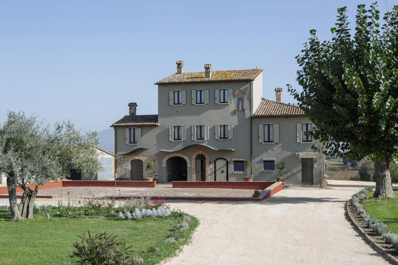 B&B Cannara - SeiPetali - Bed and Breakfast Cannara