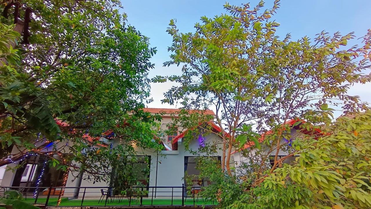 Trang An Nature View Homestay - B&B