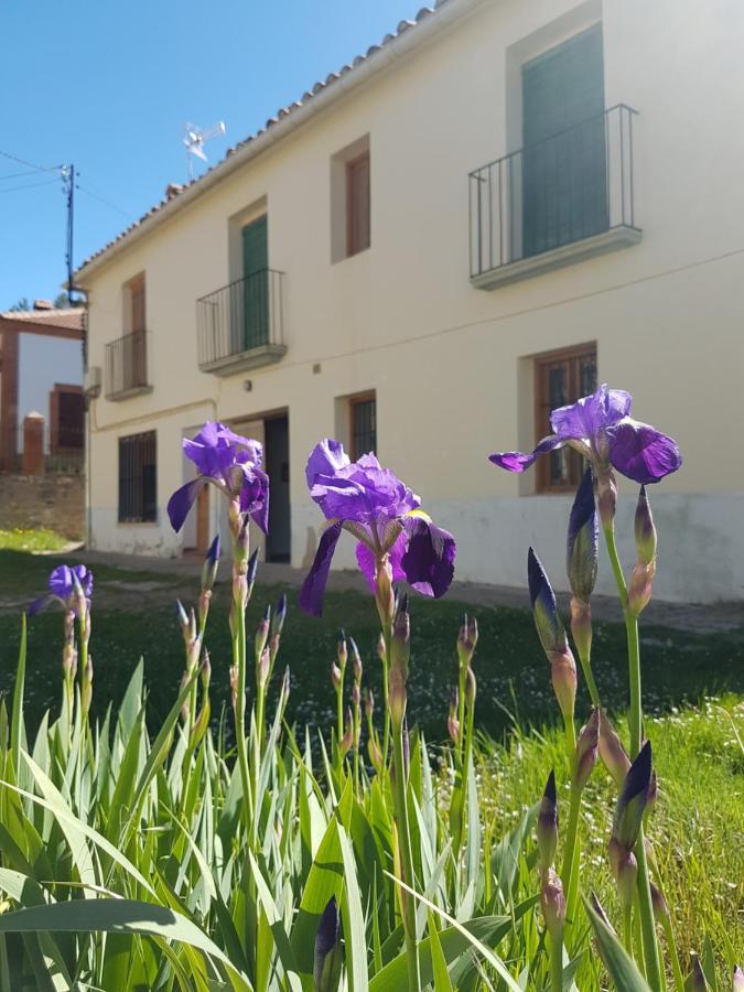 Apartamento LA MONTESA - B&B