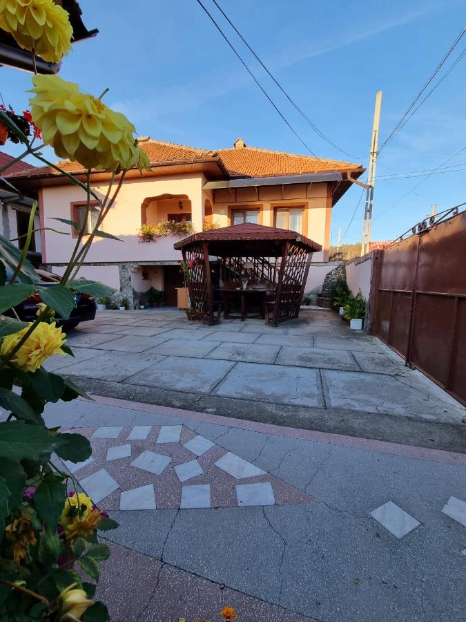 Pensiunea Ileana - B&B