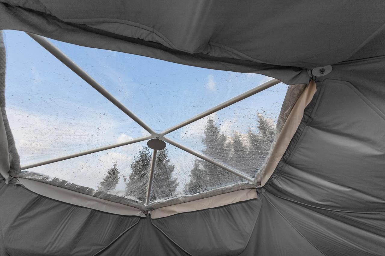 Golden Circle Domes - Glamping Experience - B&B Selfoss