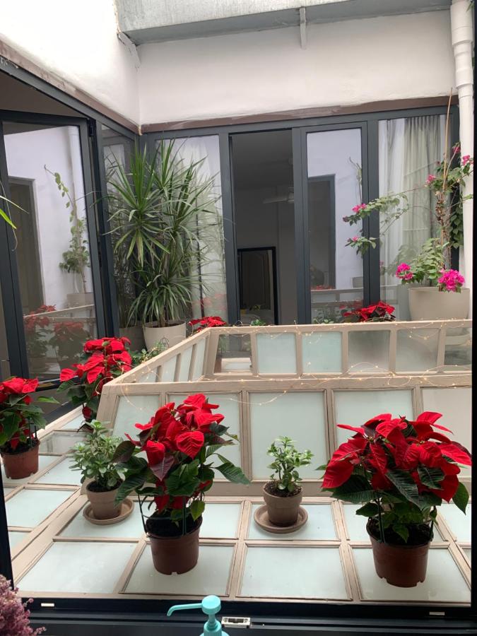 Standaard Appartement met 1 Slaapkamer