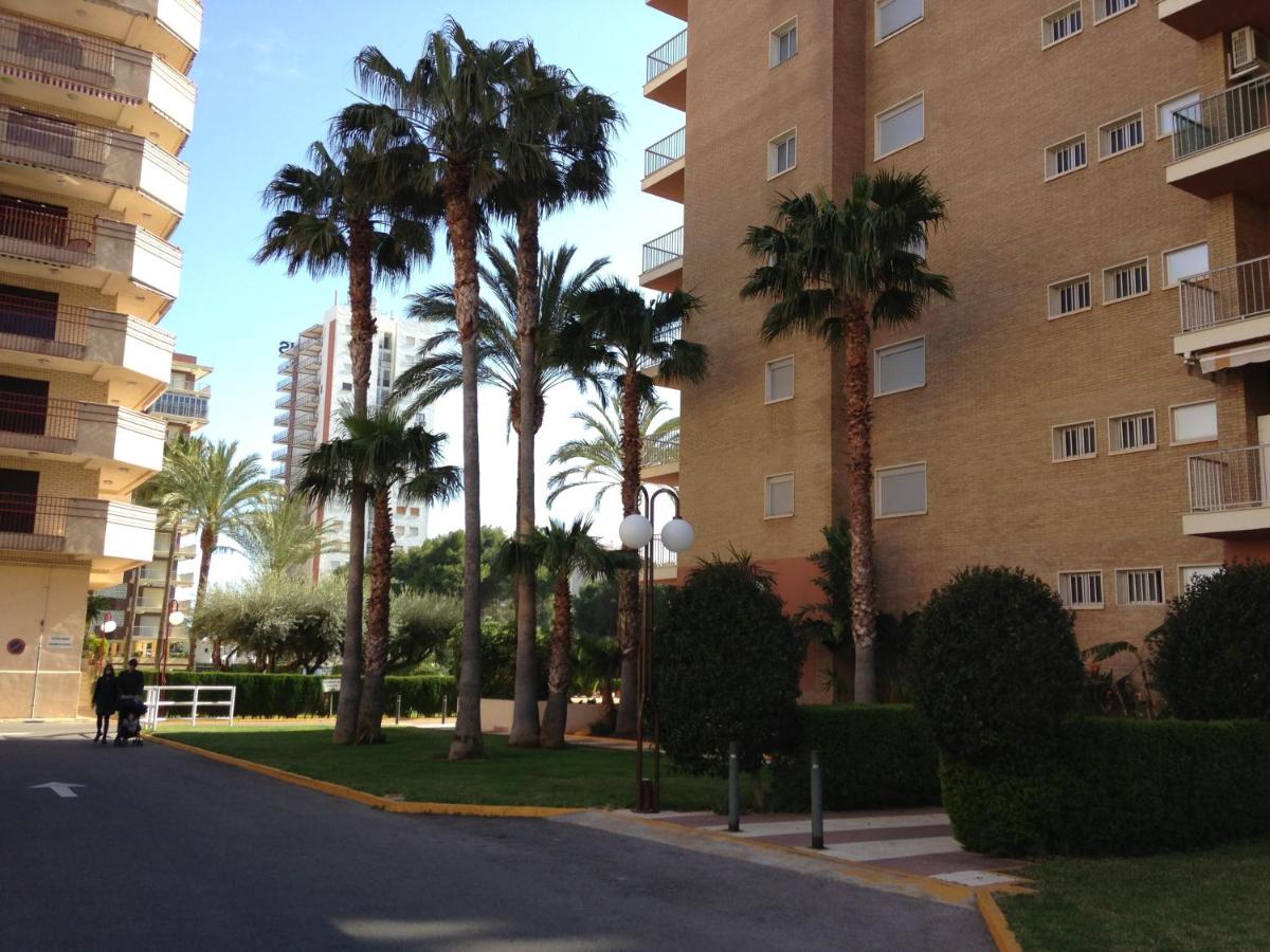 Apartamentos Benicassim - B&B
