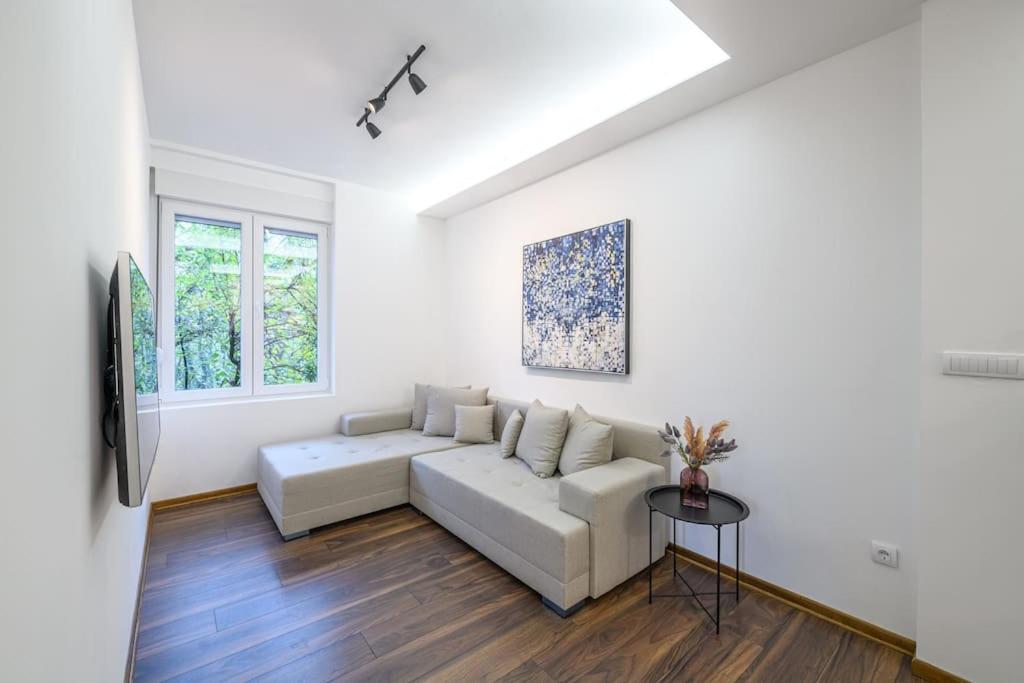 Dedinje apartment - B&B