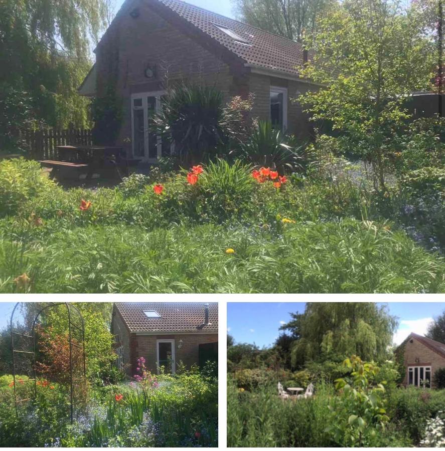 Charming Country Retreat -Lake View Cottage with Hot tub - B&B Wisbech Saint Mary