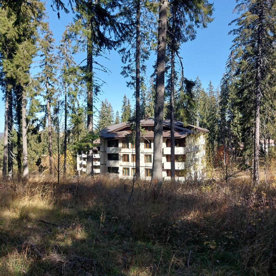 Апартамент Николови Пампорово - B&B Pamporovo