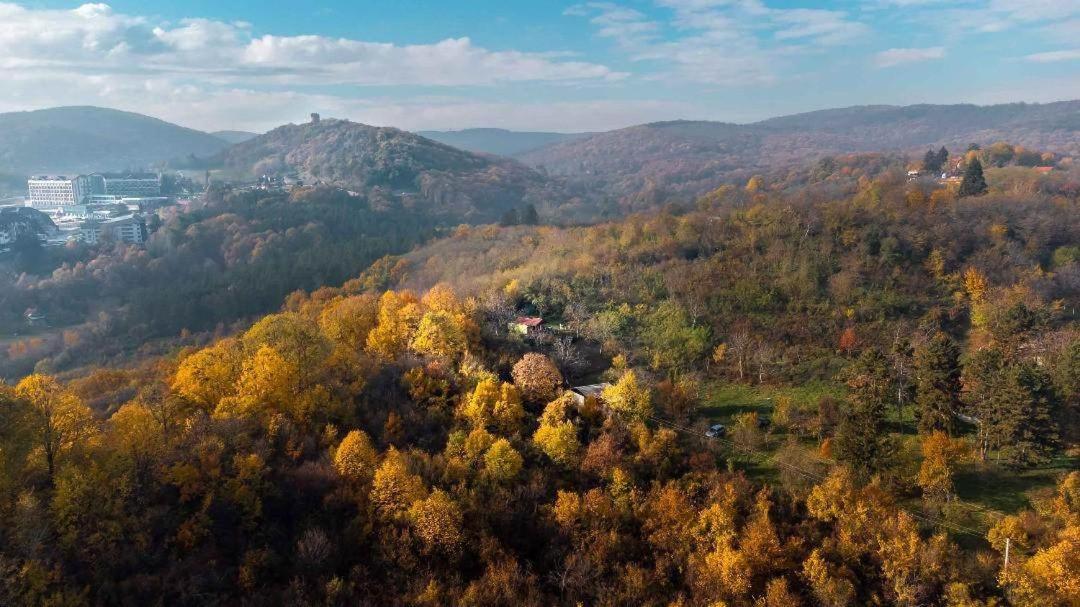 Holiday home Nanin konak 2 - B&B Vrdnik