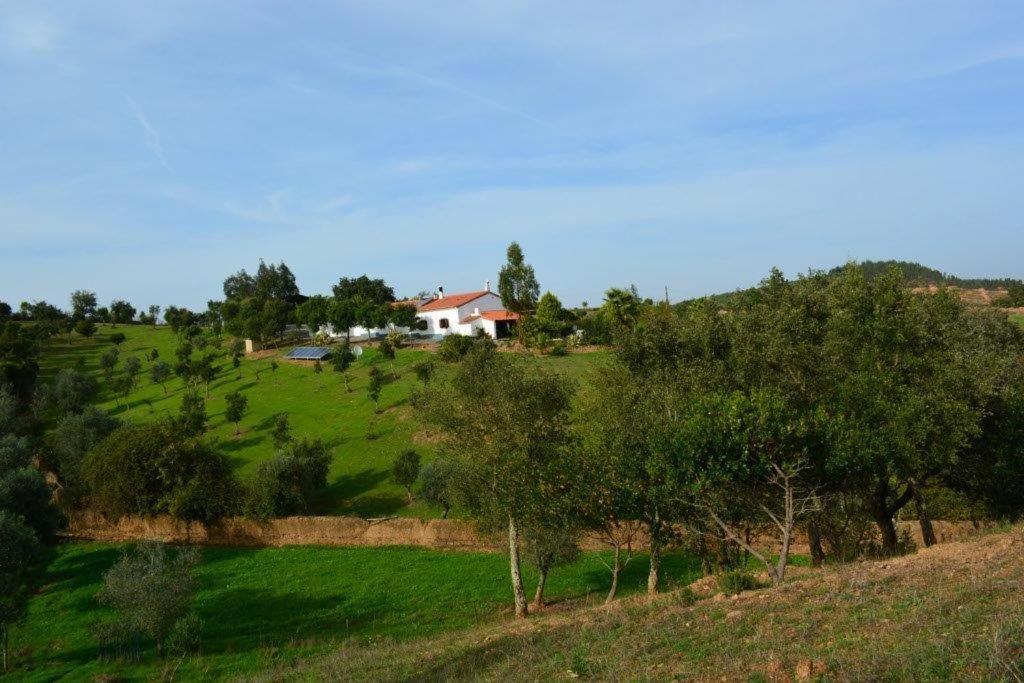 B&B Amoreiras - Quinta Do Grilo - Bed and Breakfast Amoreiras