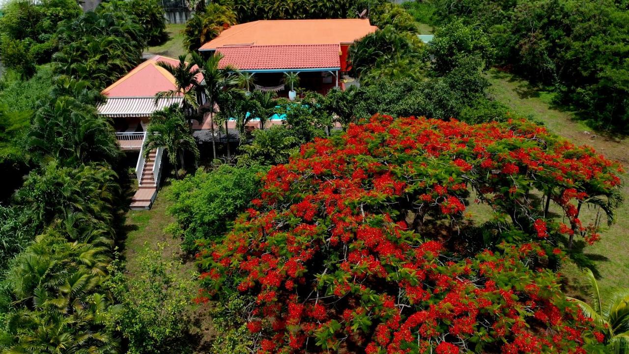 Villa Nature Paradise - Seul enveloppé de nature - Bed and Breakfast Le Diamant