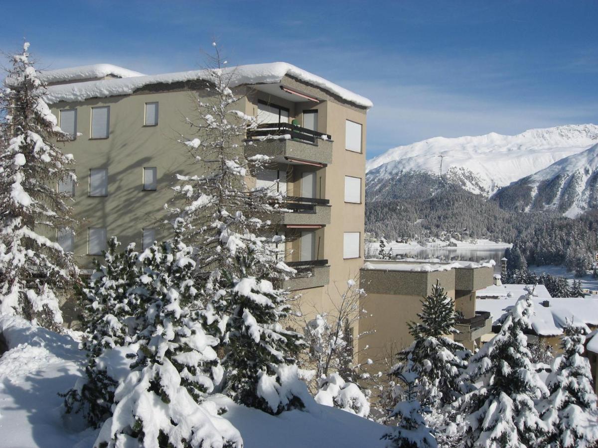 Sankt Moritz Spirit Piz Bernina 5 - Bed and Breakfast Sankt Moritz