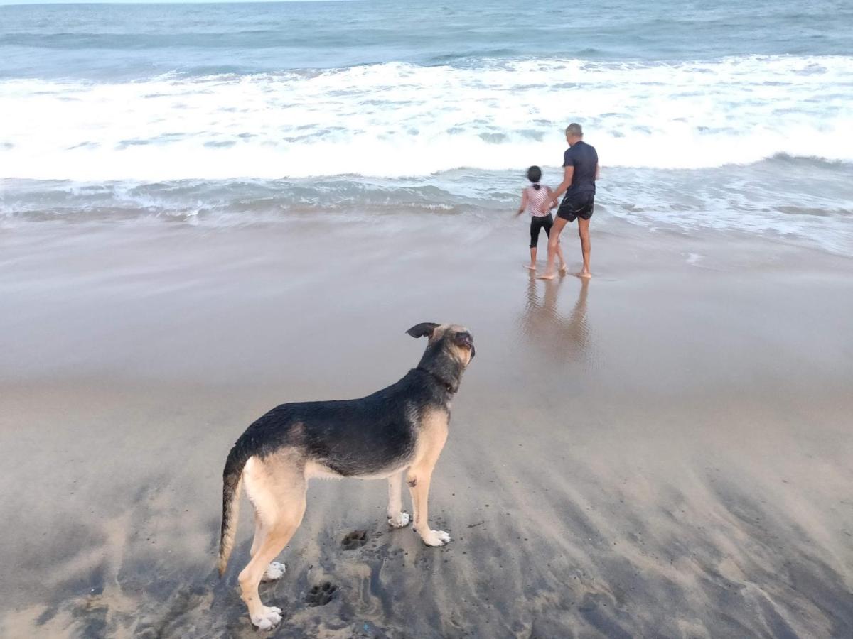 Anchorage - Mesmerizing villa with lawn, BB court - Chambres d’hôtes Mahâballipuram