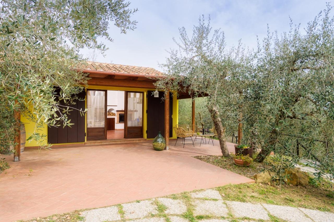 La Casina, private villa with A/C in Val di Chiana - Chambres d’hôtes Scrofiano