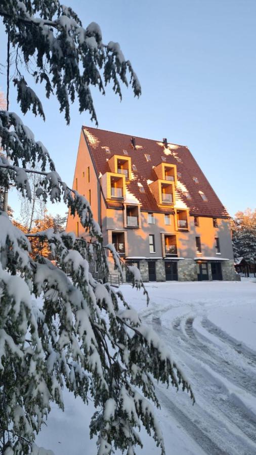 Appartamento con 1 Camera da Letto