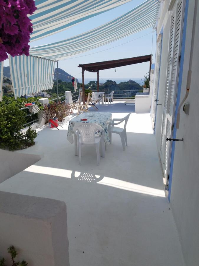Studio with Terrace