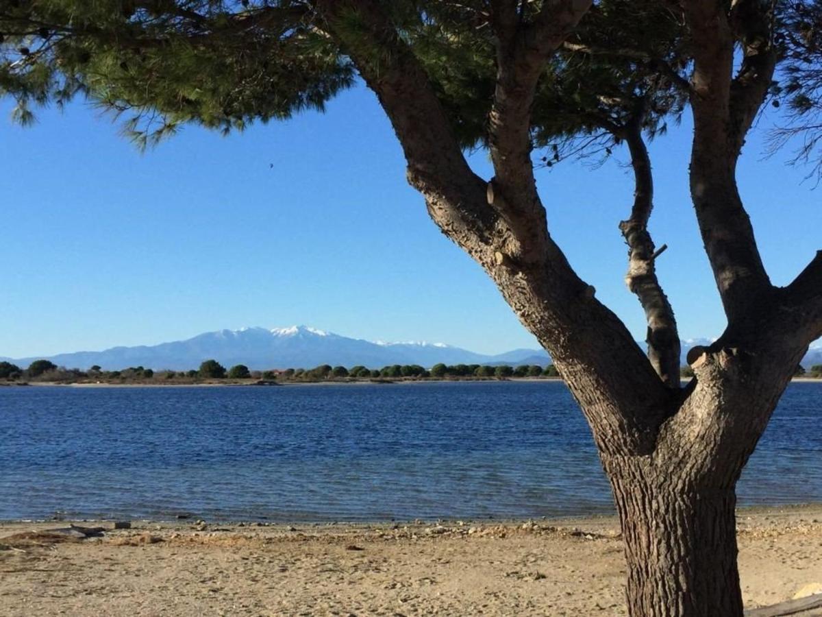 Appartement climatisé 4 pers, vue Lac, parking inclus - FR-1-81-66 - Chambres d'hôtes Port Leucate