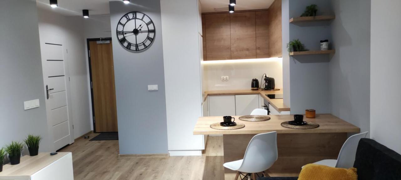 Apartament przy Fabrycznym - Chambres d’hôtes Łódź