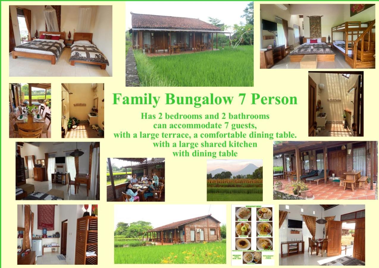 Bungalow 2 Chambres