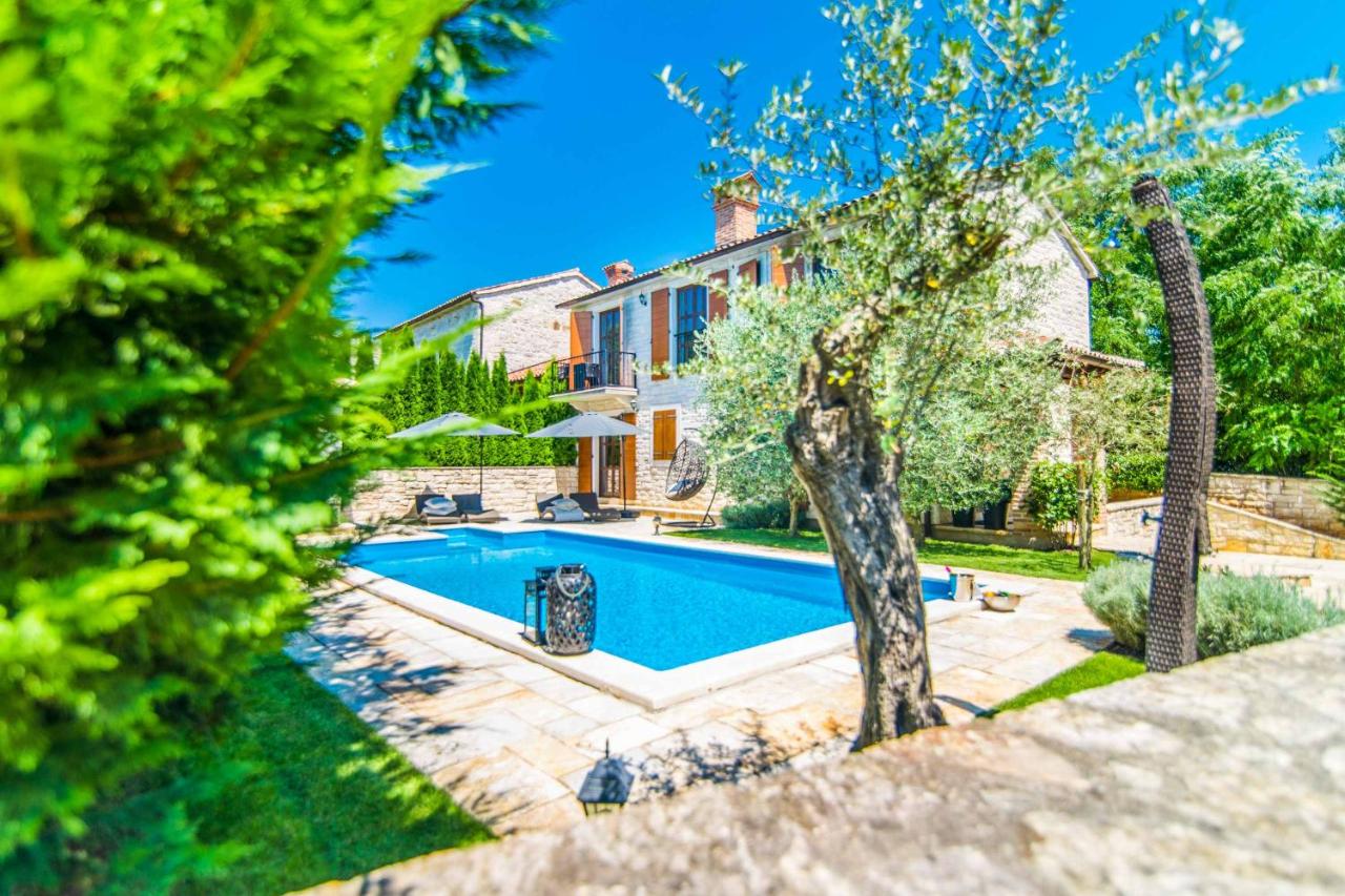 Villa White Stone - B&B