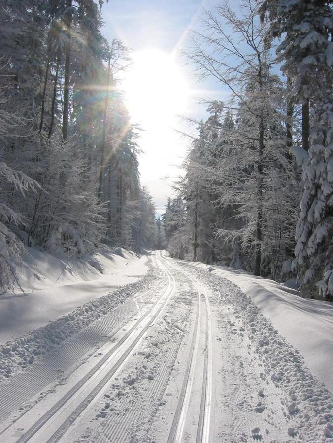 Ferienwohnungen Kricklsäge - B&B Philippsreut