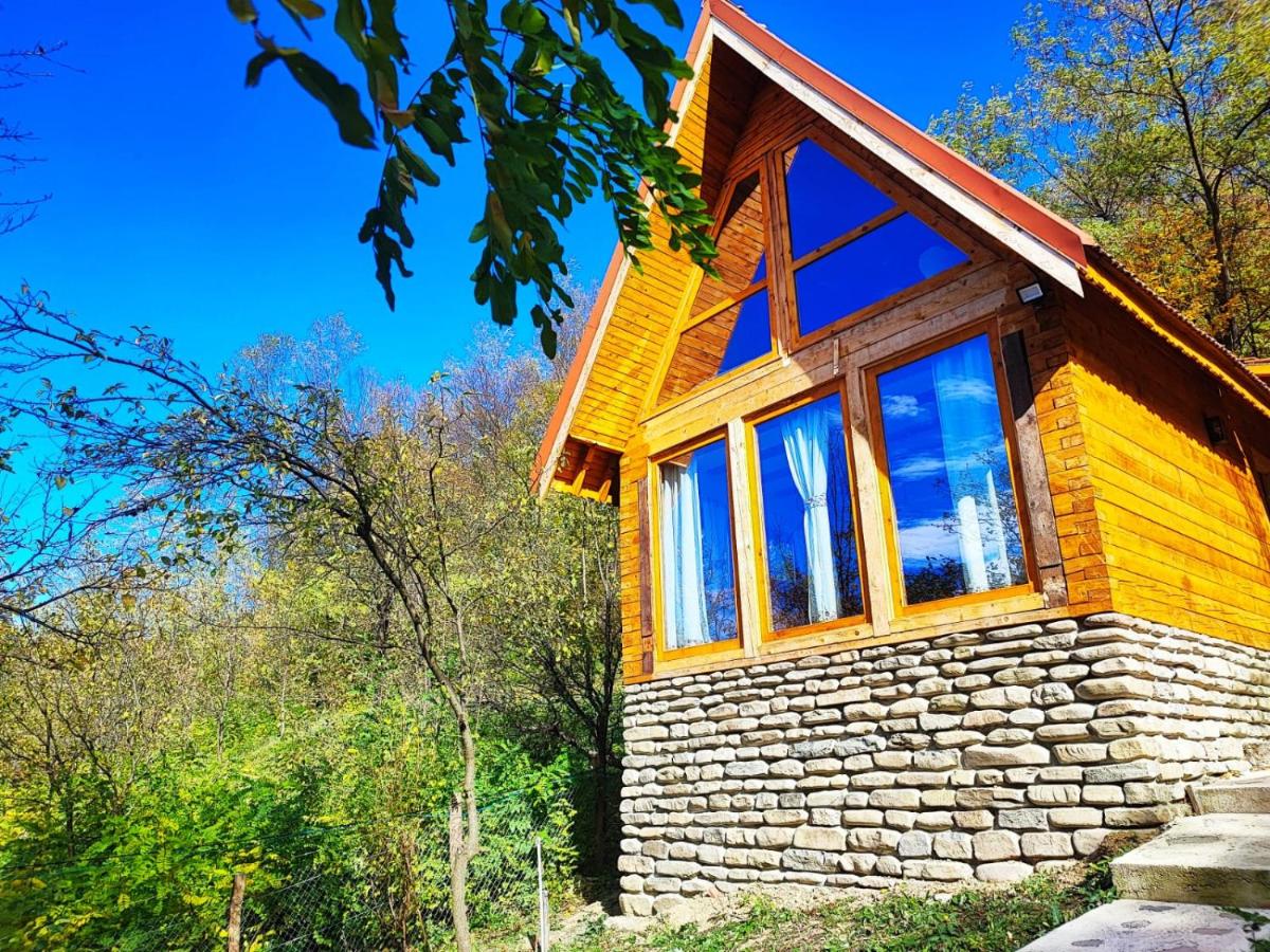 La sat - Blândă Mărie - B&B Bertea