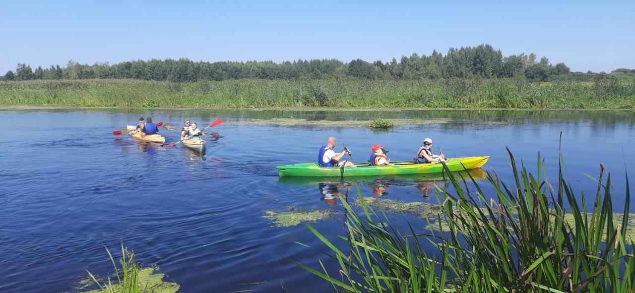 POLE NAMIOTOWE nad rzeką BIEBRZA w GONIĄDZU - Chambres d’hôtes