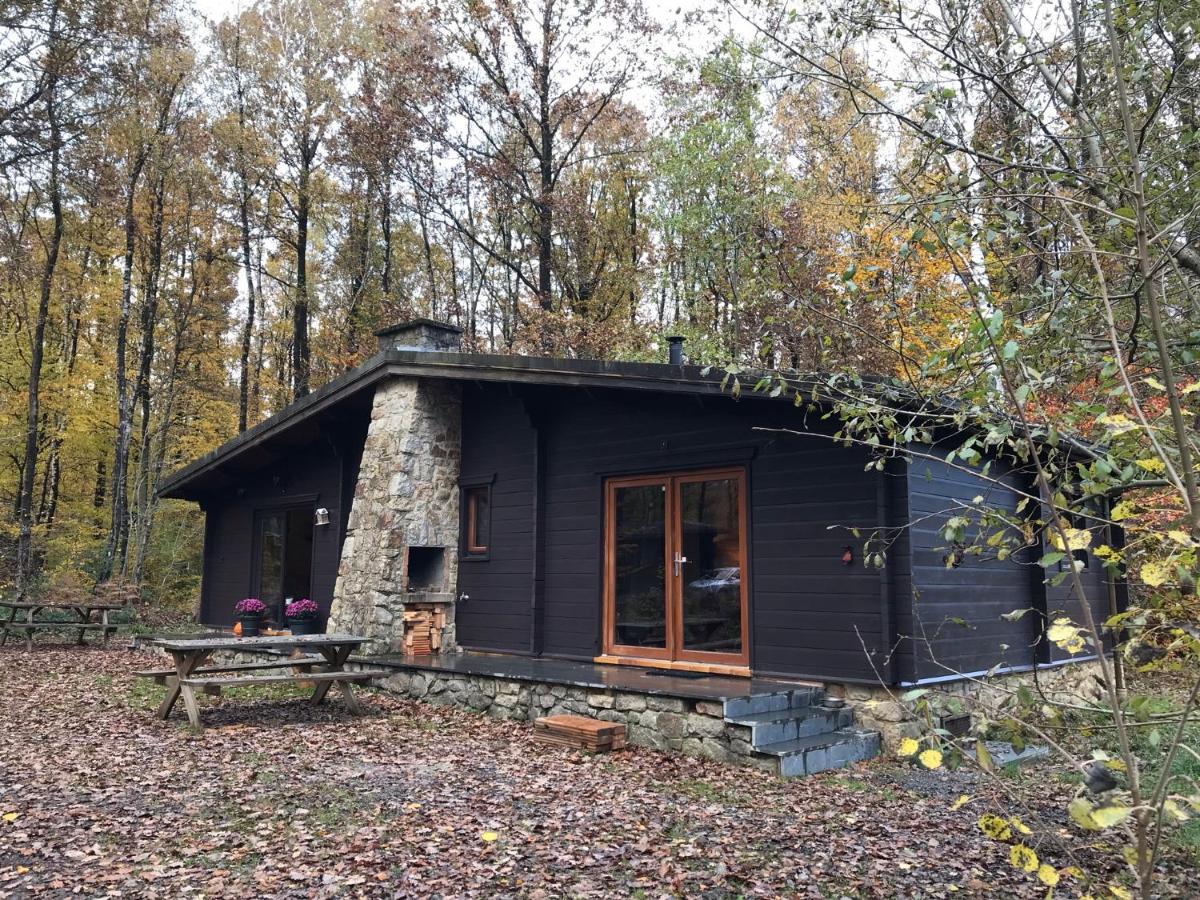 Forest Lounge - B&B Petit Mesnil