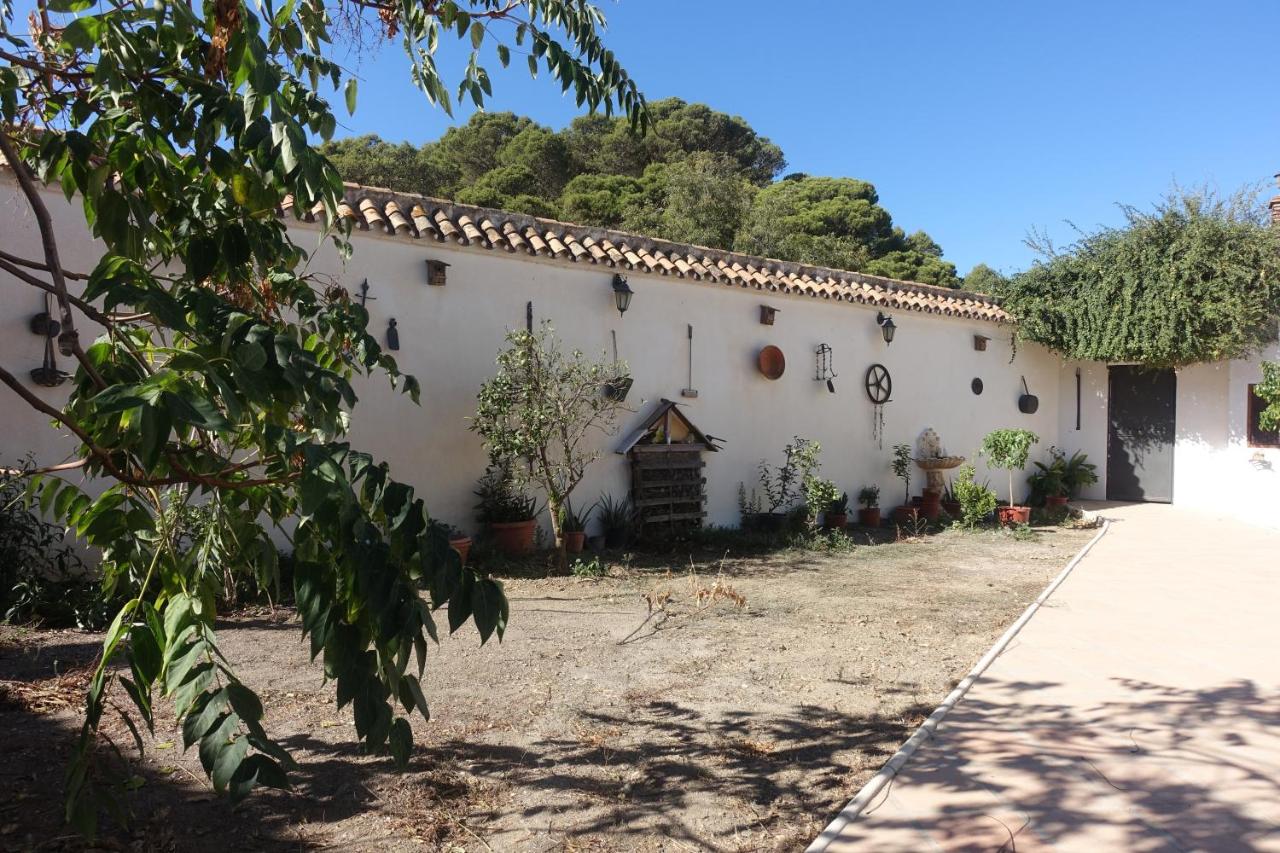 Galwey, tourist appartments with WIFI - Chambres d’hôtes Málaga