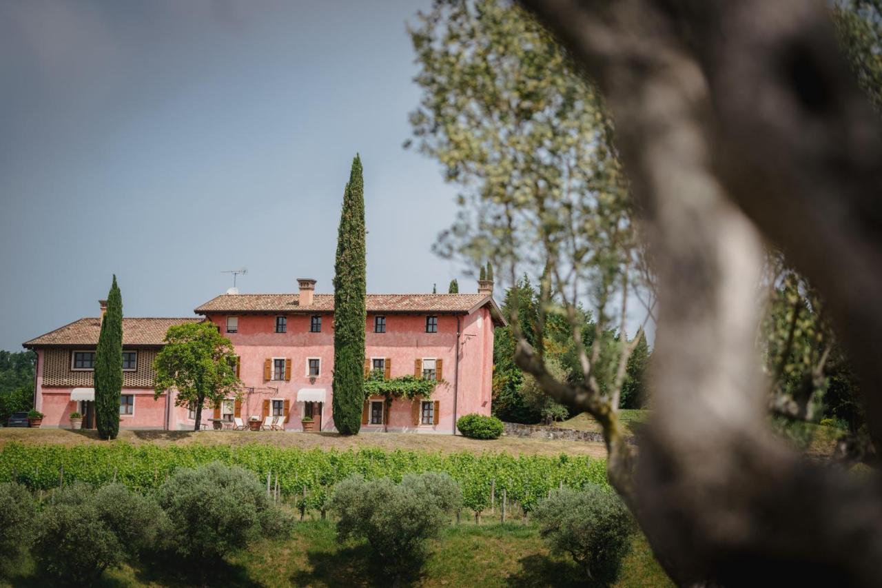 Appartamenti nelle Vigne - B&B