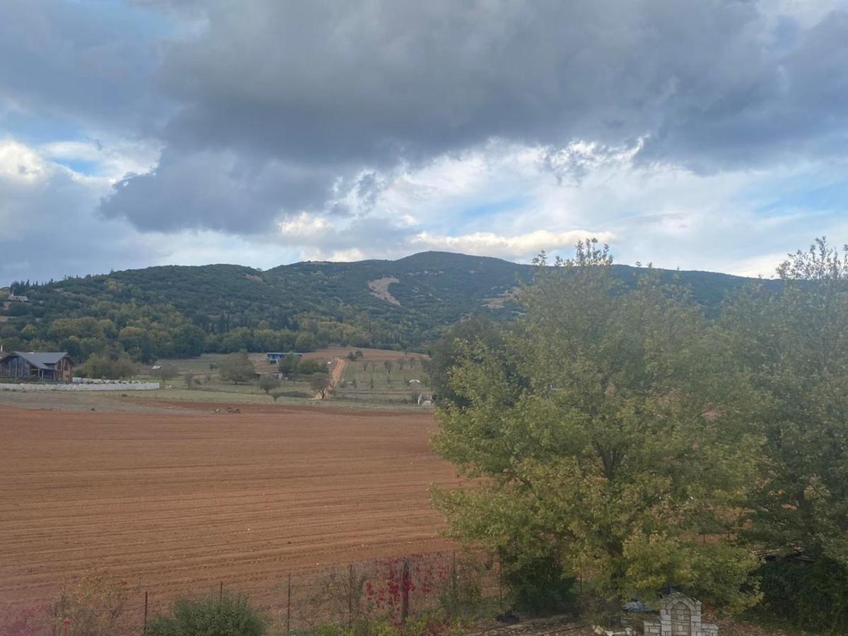 Triple Room with View