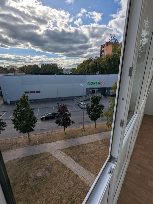 Lovely 2-bedroom flat in the heart of Druskininkai - Ferienwohnung
