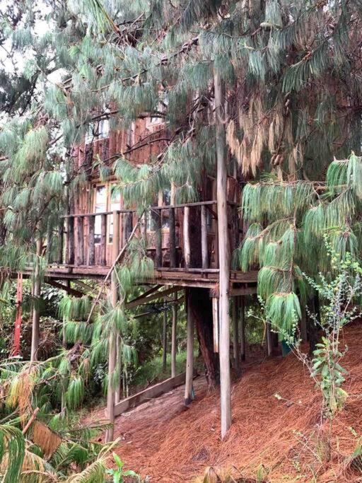 Cabin at Blueberry Farm - Ferienwohnung Subachoque