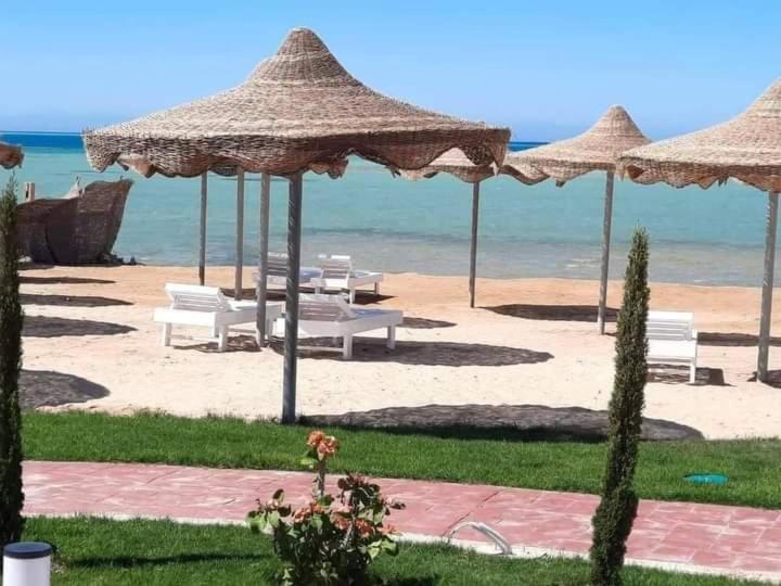 كذا بلانكا بيتش 220 - B&B