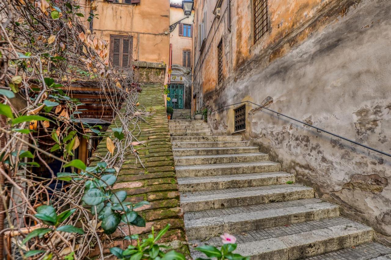 Luxury Navona - B&B