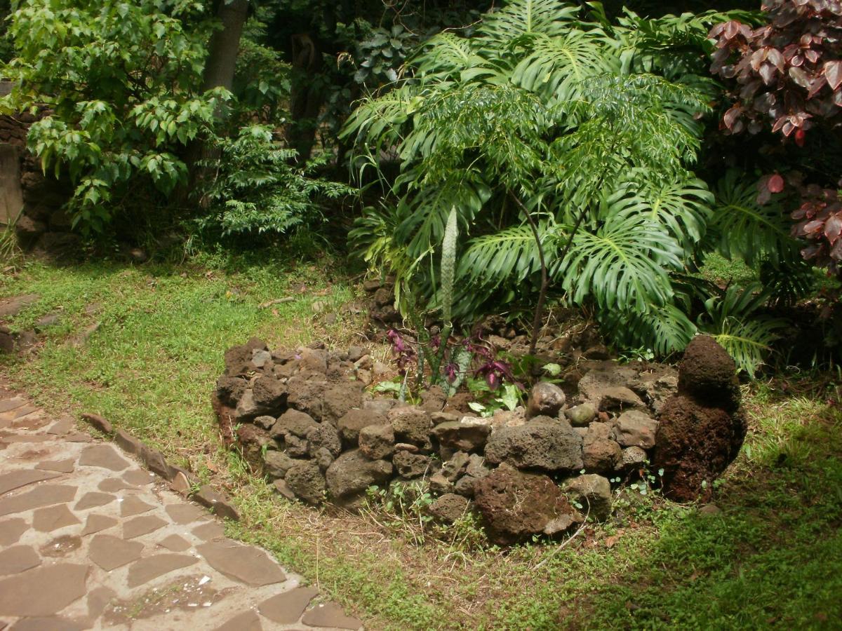 Cabañas Moenga - Bed and Breakfast