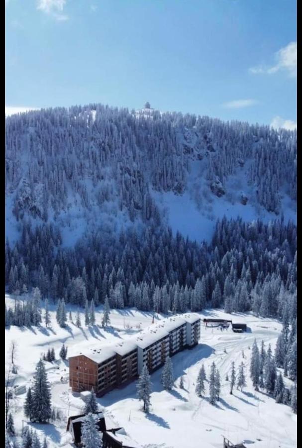 B&B Jahorina - Apartman Winter night Snježna dolina - Bed and Breakfast Jahorina