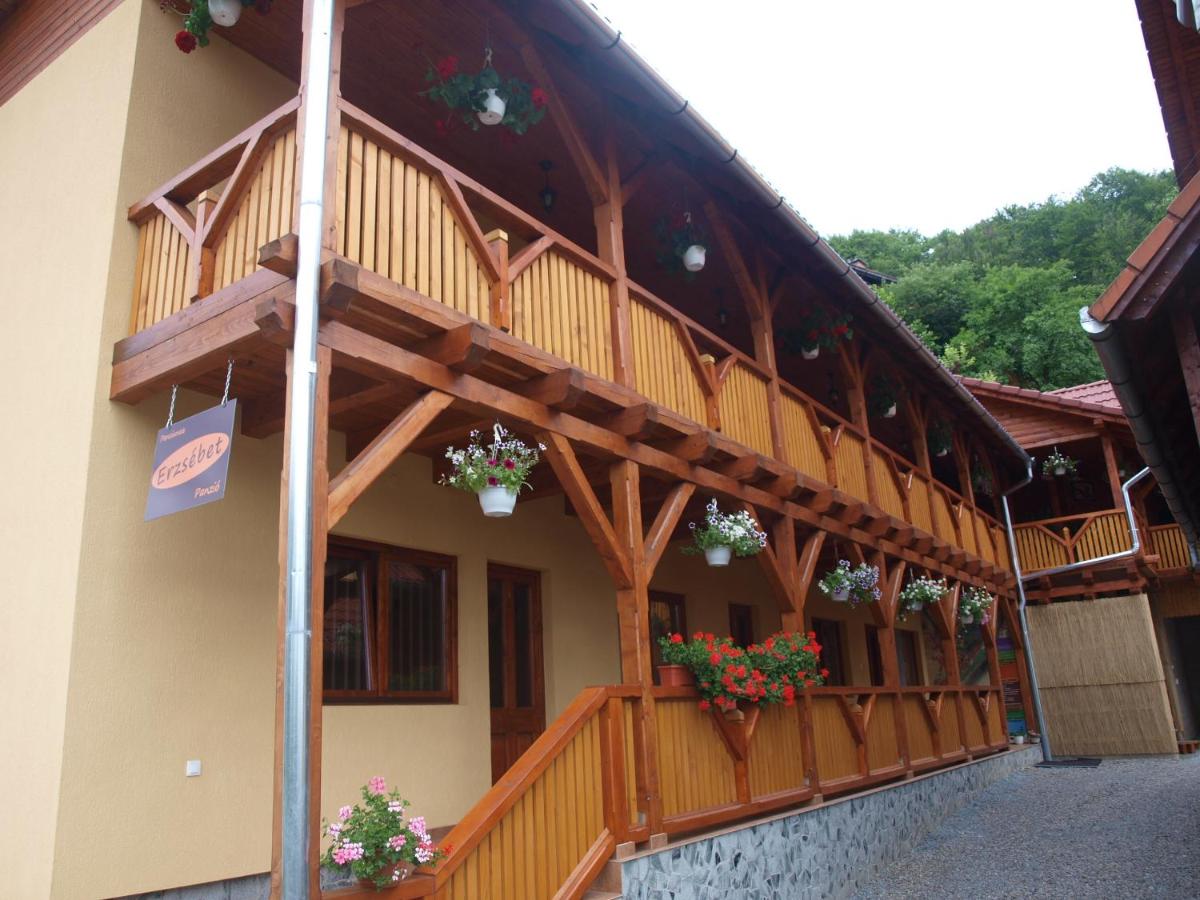 Pensiunea Elisabeta - B&B