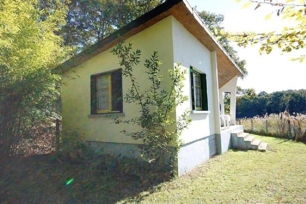 Chalet au bord de l'étang 4 pers - Ferienwohnung Les Boulmiers