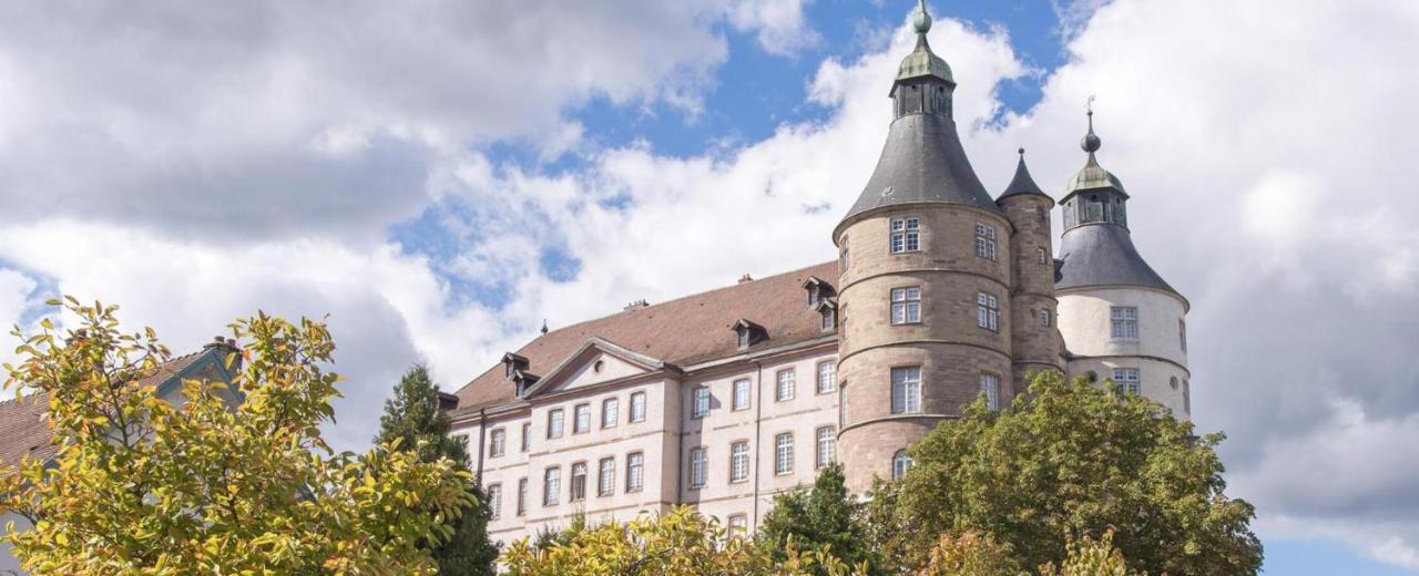 Appart'Hôtel de la Gare - Cocooning - B&B Montbéliard