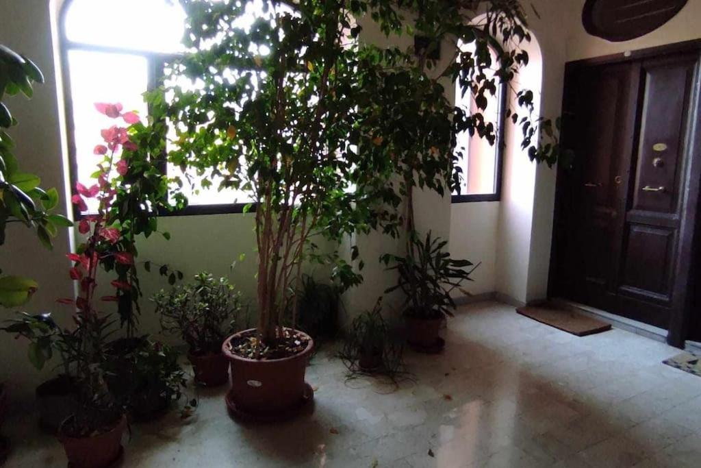 Rhome Holiday Mameli - B&B Rome