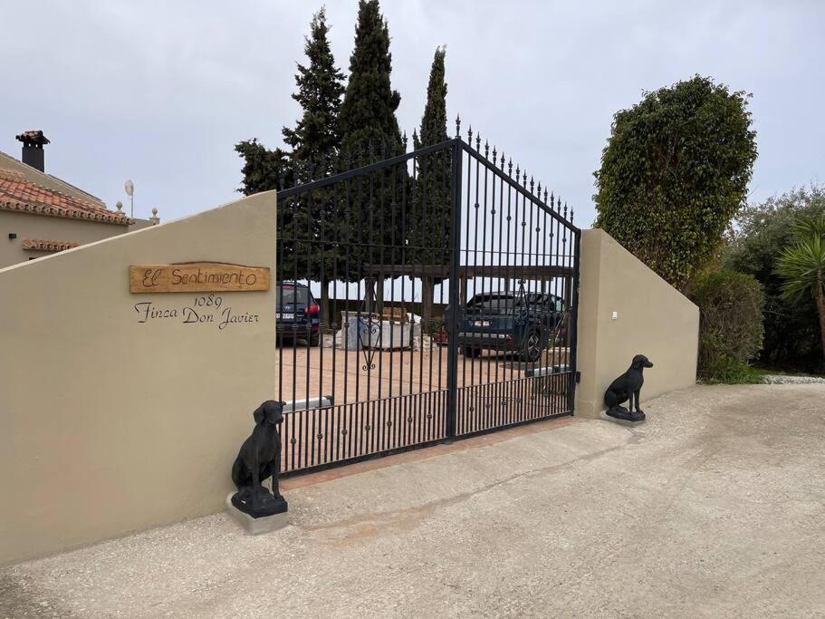 El Sentimiento Don Javier Apartment - Bed and Breakfast Torrox
