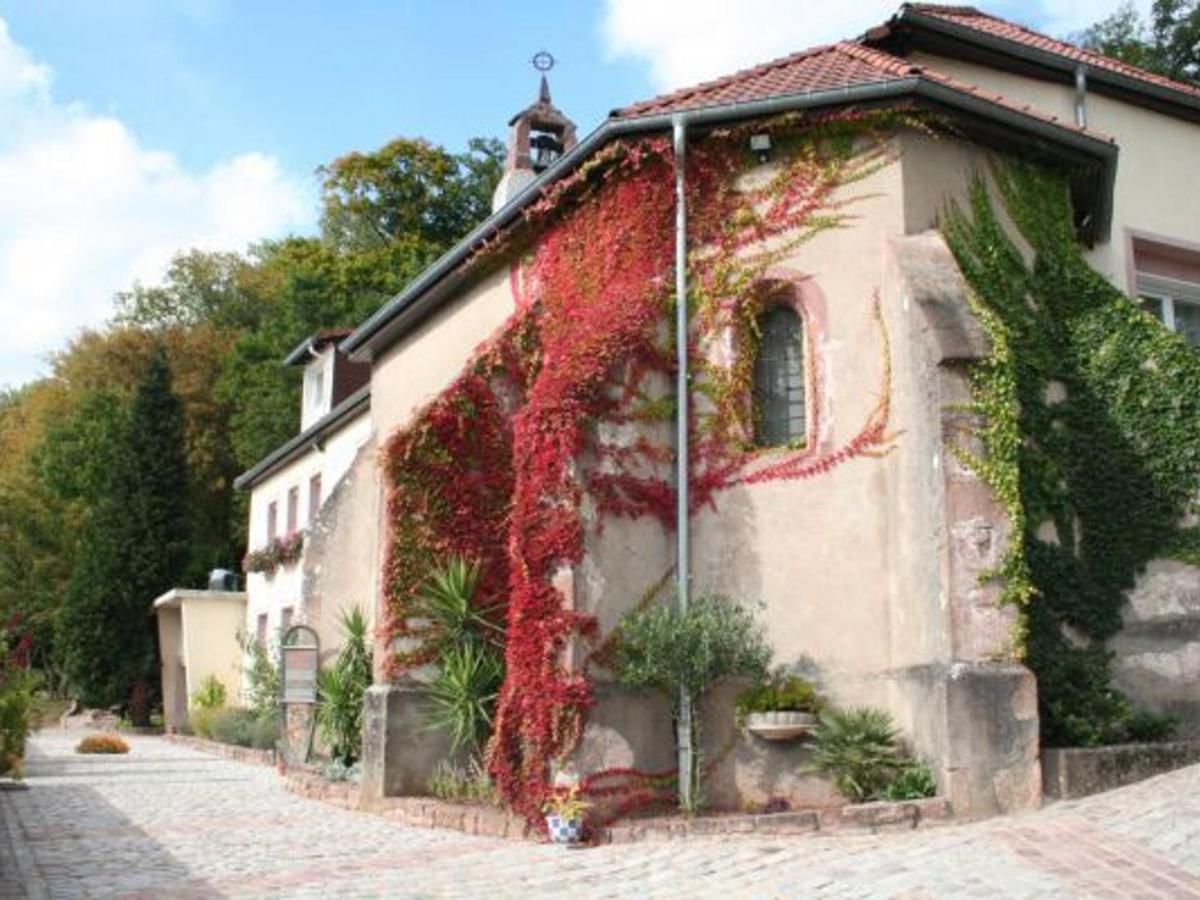 Gîte de charme pour 2 pers., terrasse, forêt à proximité, tout confort, Saint-Dié-des-Vosges - FR-1-589-209 - Chambres d'hôtes Saint-Dié-des-Vosges