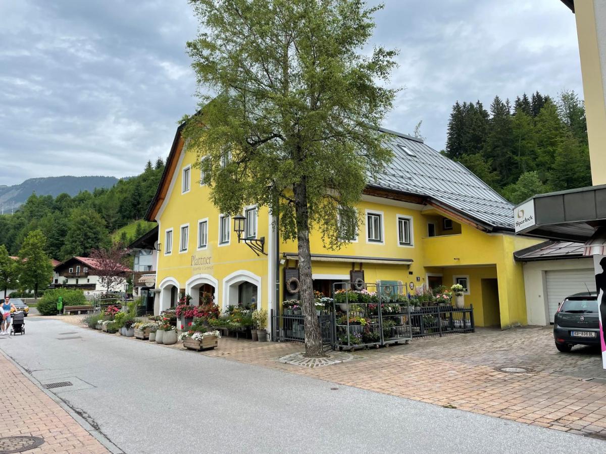 B&B Fieberbrunn - Haus Central Fieberbrunn - Bed and Breakfast Fieberbrunn