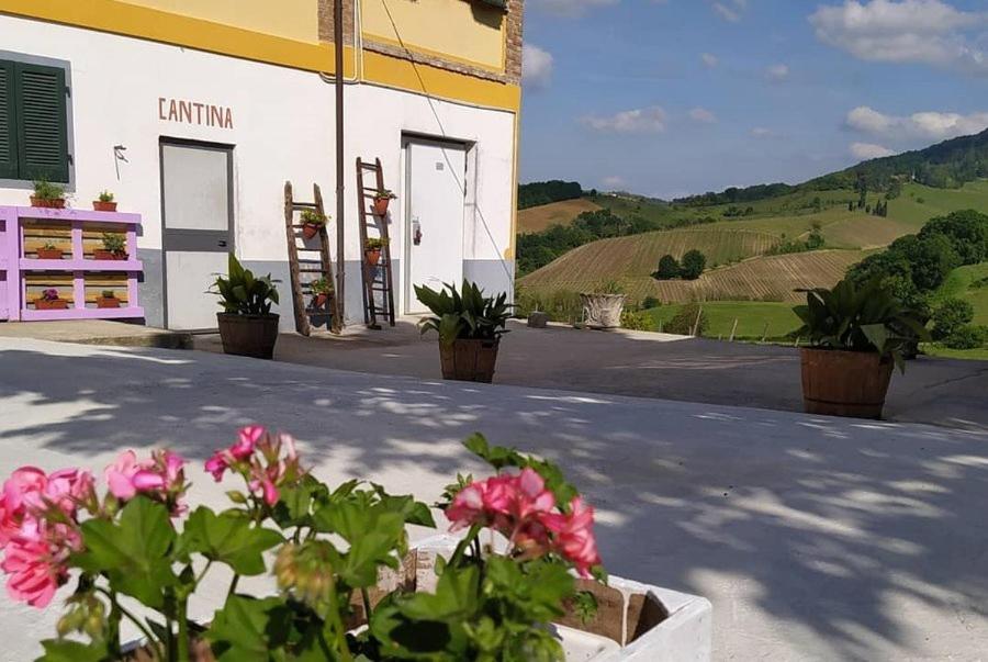 B&B Casteggio - Cascina Angelina - Bed and Breakfast Casteggio