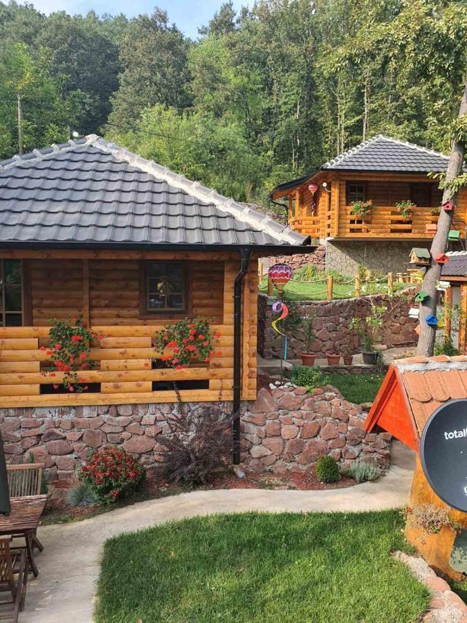 Etnokutak Milojevic - B&B